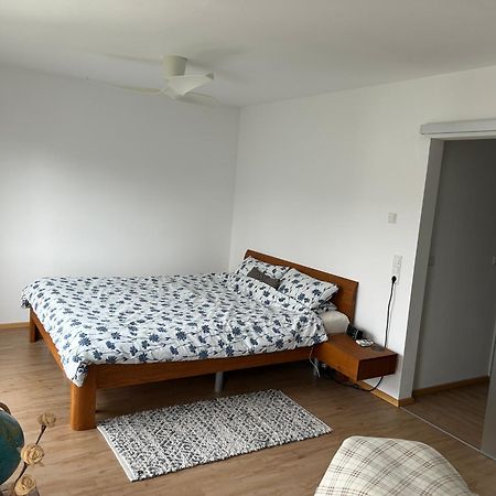 Cube - Ferienhaus Mit Garten Und Terrasse In Eberbach Eberbach  Luaran gambar